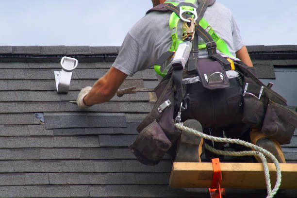 Best Shingle Roofing Installation  in Webster City, IA