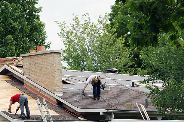 Roof Gutter Cleaning