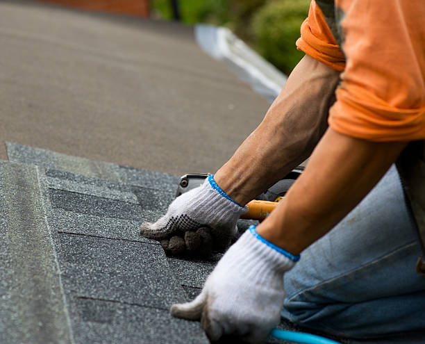 Roof Waterproofing Services in Webster City, IA